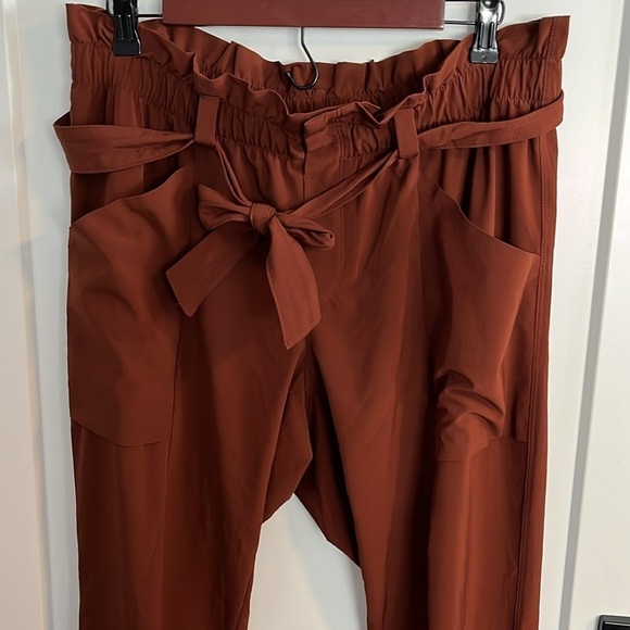 ATHLETA Skyline Rust Color Stretch Belted Casual Pull-on Ankle Pants Size 12 - Picture 5 of 15